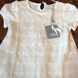 NWT Matilda Jane Whipped Cream Top size 6